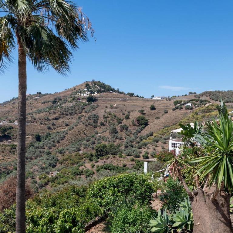 Cortijo las Palmeras with privet pool - Villa - 53