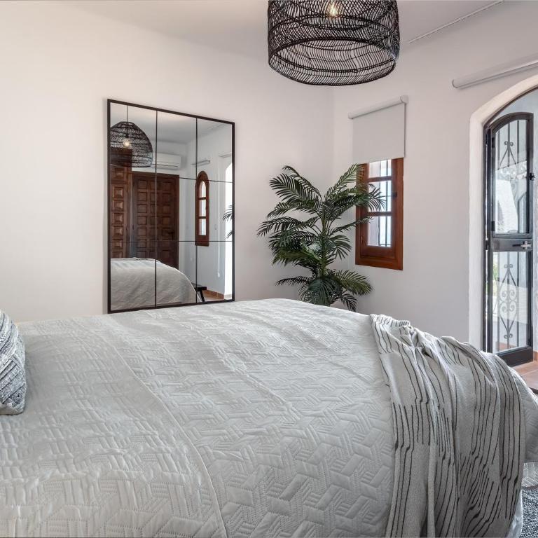 olivo de capistrano - Villa - 23