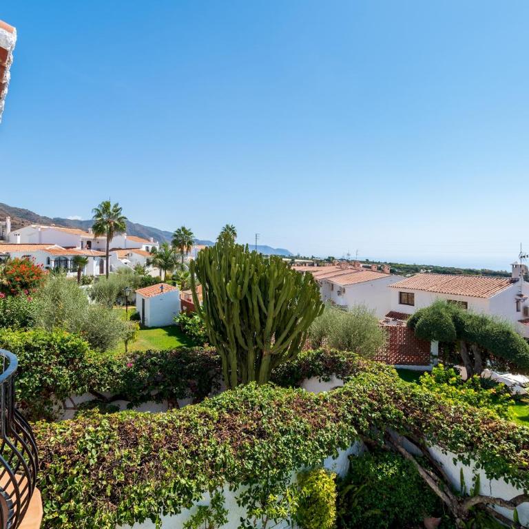 olivo de capistrano - Villa - 30