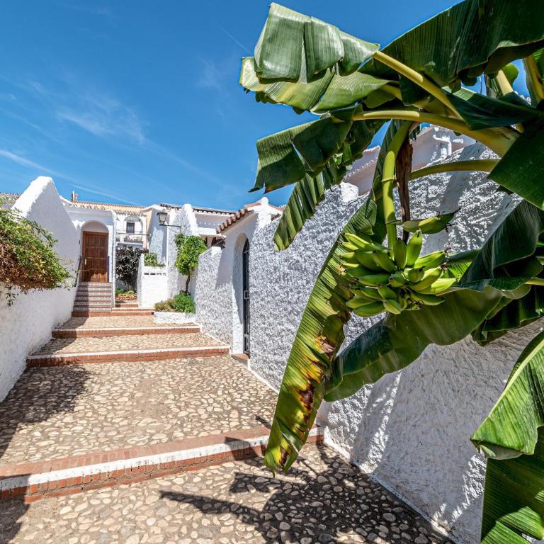 olivo de capistrano - Villa - 48