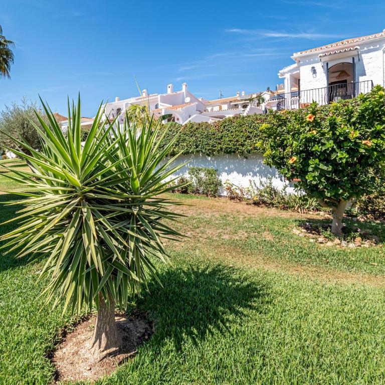 olivo de capistrano - Villa - 50