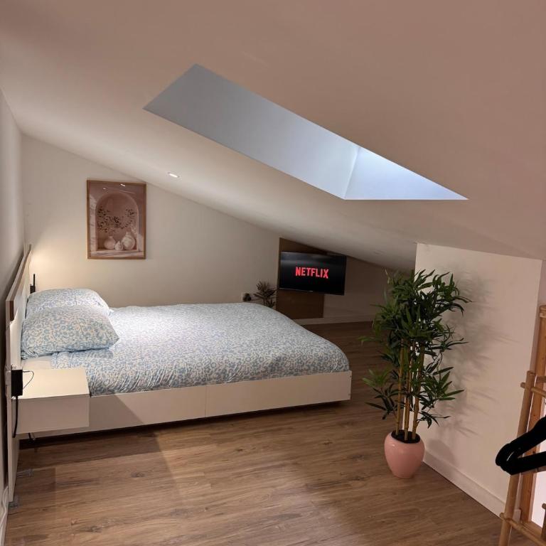 Charmant Appartement au coeur de Nice - Appartement - 18