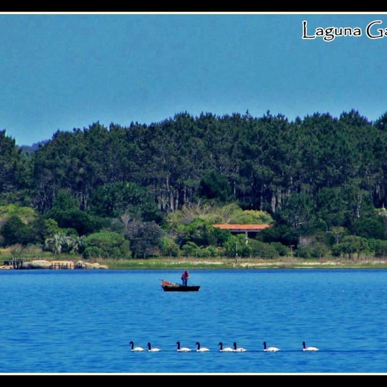 Casa Refugio en el bosque - One-Bedroom House - 13