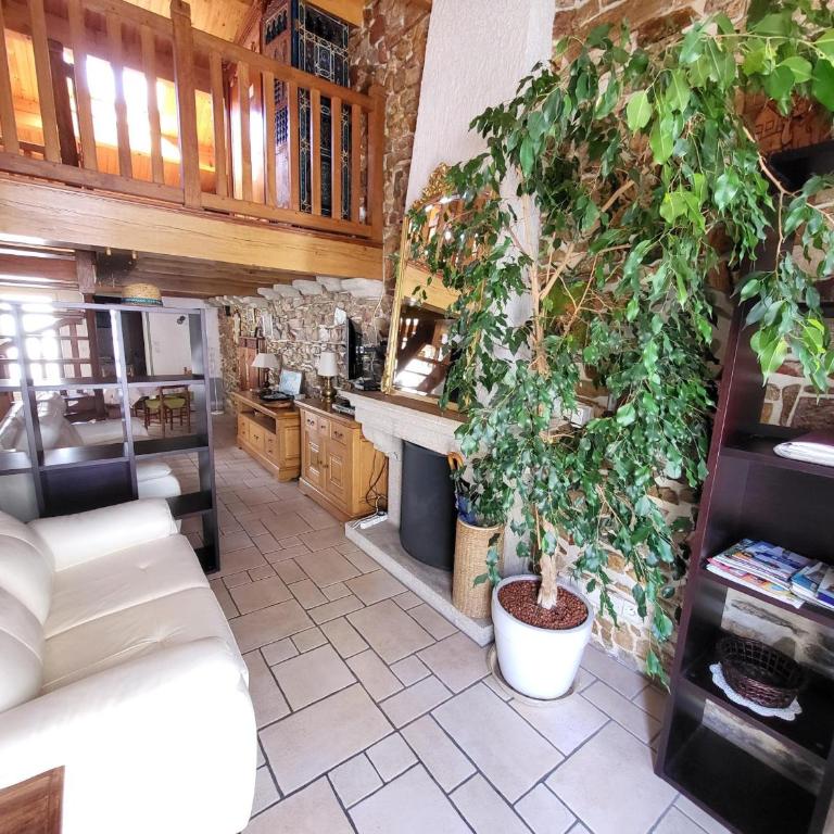 Maison T4 avec Garage et WiFi à 300m de la Plage - Quartier Arago - FR-1-92-655 - Maison de Vacances (4 Adultes) - 13
