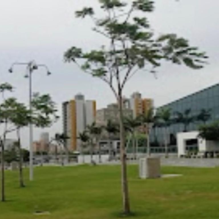 Hermoso apartamento por días - Apartamento de 3 dormitorios - 21