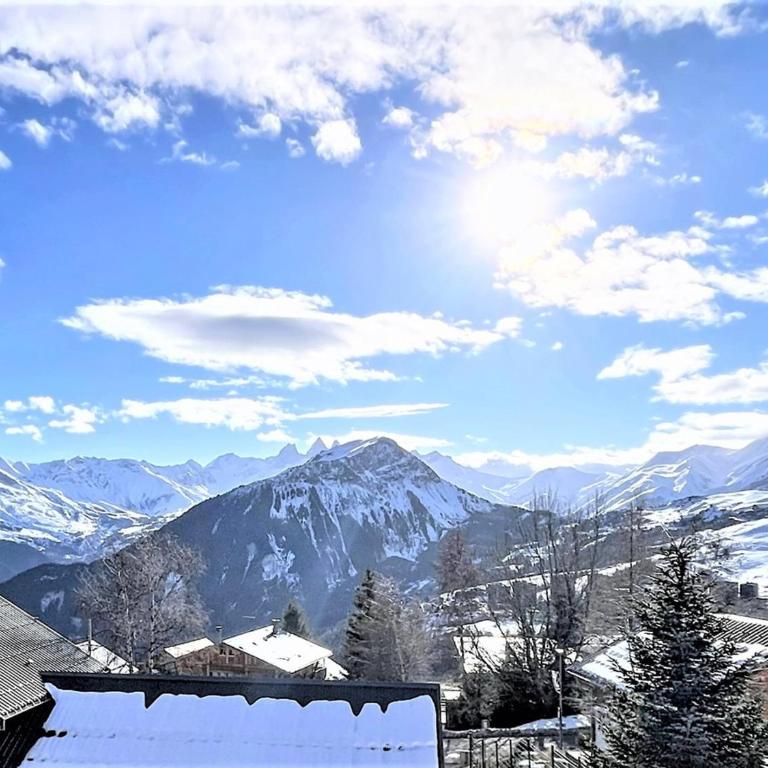 Appartement en duplex, vue montagne - 8 pers. - Appartement 4 Chambres - 14
