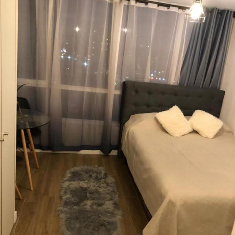 arriendo depto studio - Apartamento de 1 dormitorio - 1