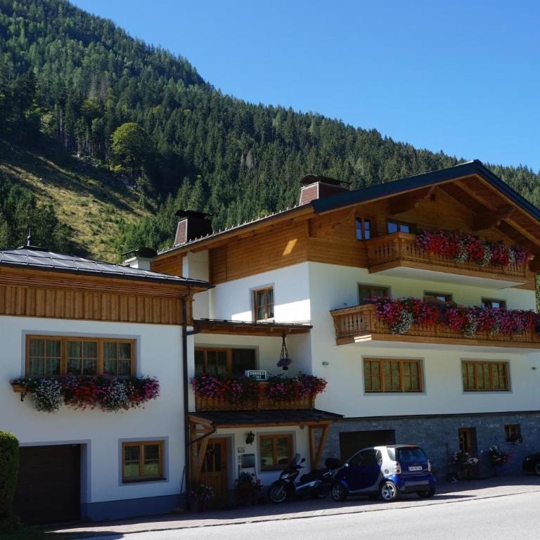 Apartment in Flachau with Mountain Views - Appartement 1 Chambre - 1