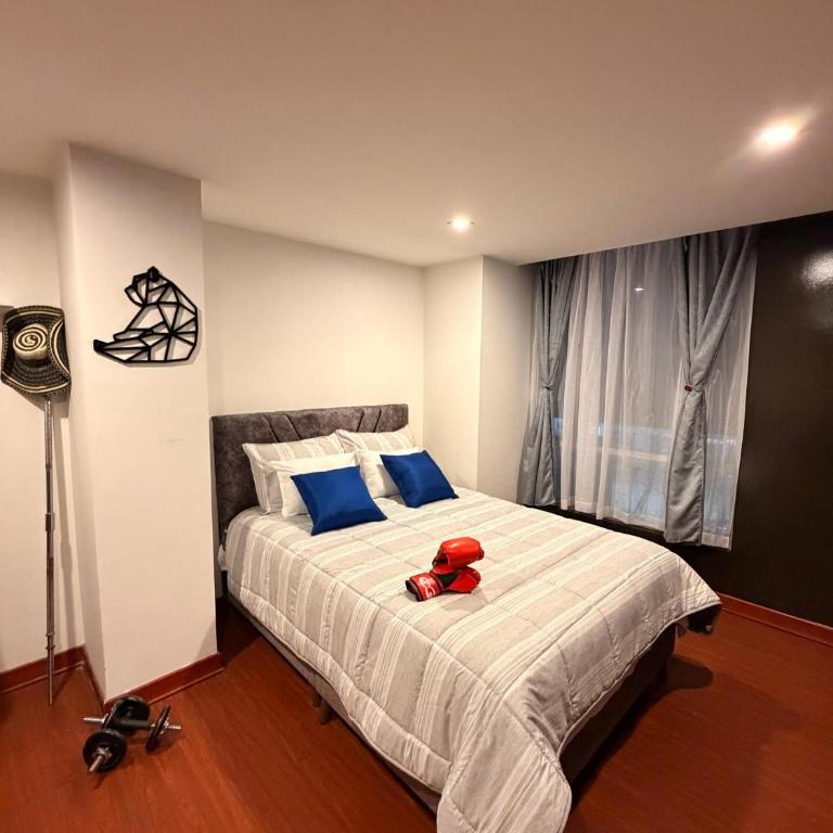 Apartamento T Premium - Apartamento - 13
