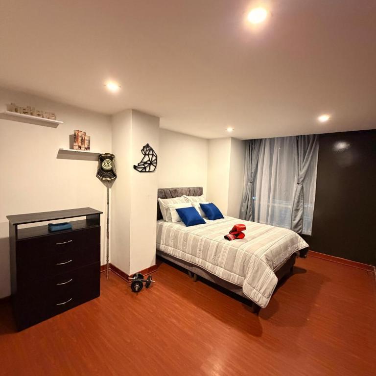Apartamento T Premium - Apartamento - 12