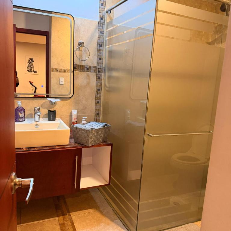 Apartamento T Premium - Apartamento - 16