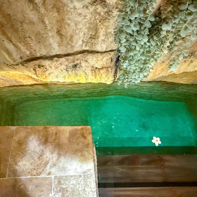 Maison de luxe au coeur du village de Gordes avec bassin intérieur - Casa con 3 Camere da Letto - 42