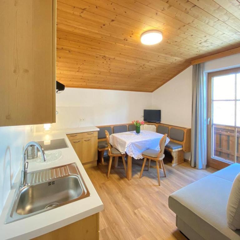 Apartment in Filzmoos near Ski Amadé - One-Bedroom Apartment - 10