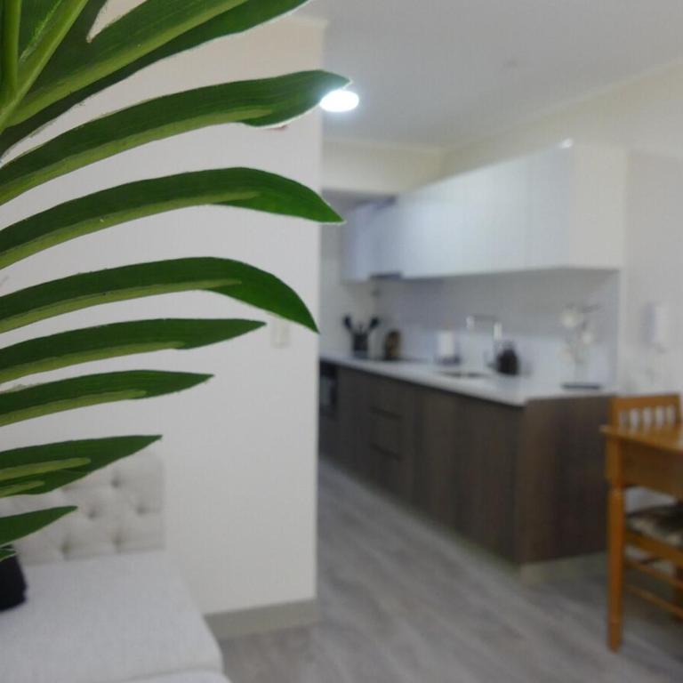 Barranco Chic Loft in the Heart of Barranco - Apartamento de 1 dormitorio - 23