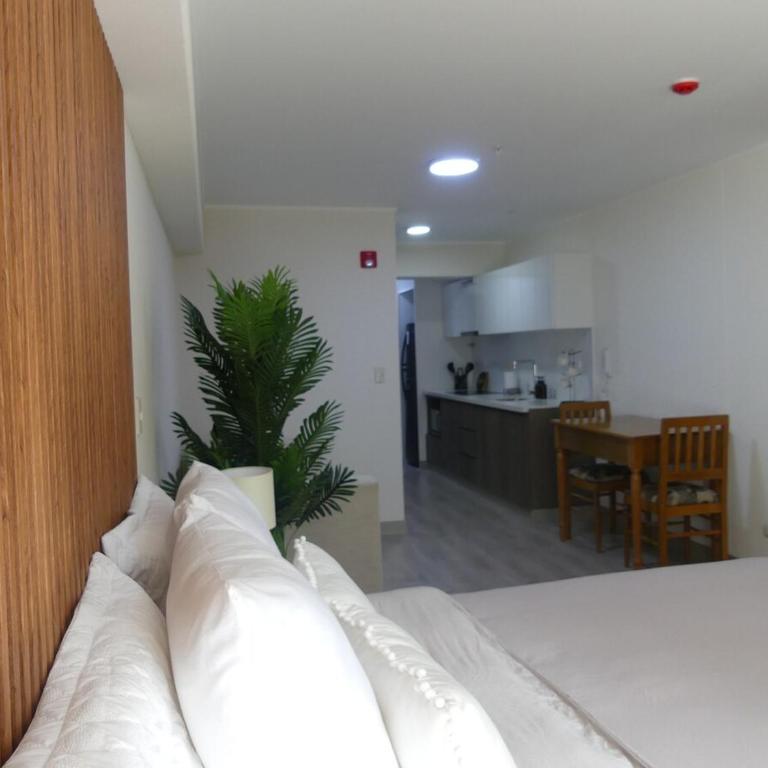 Barranco Chic Loft in the Heart of Barranco - Apartamento de 1 dormitorio - 35