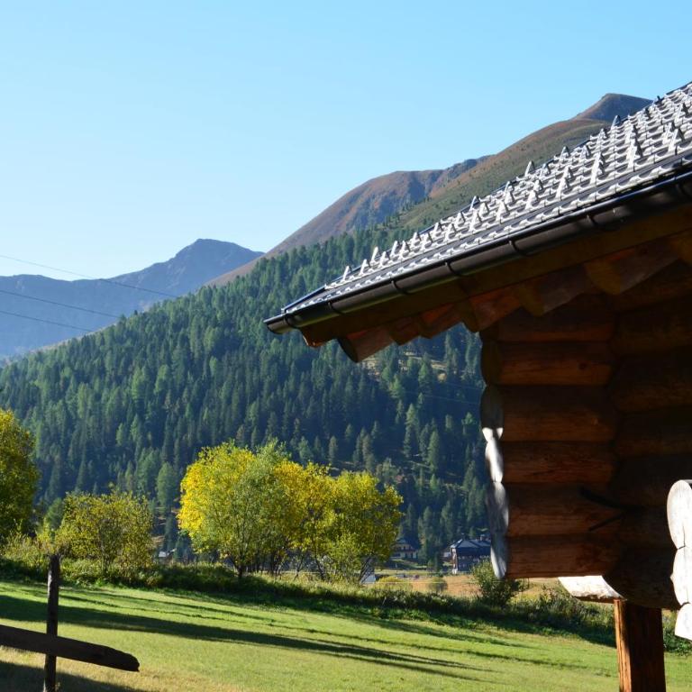 Ferner Alm - Chalet mit 2 Schlafzimmern - 17