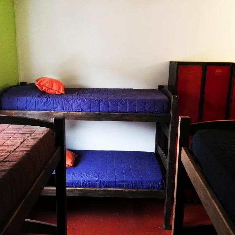 Planet Punta del Este Hostel - Cama en habitación compartida de 6 camas - 2
