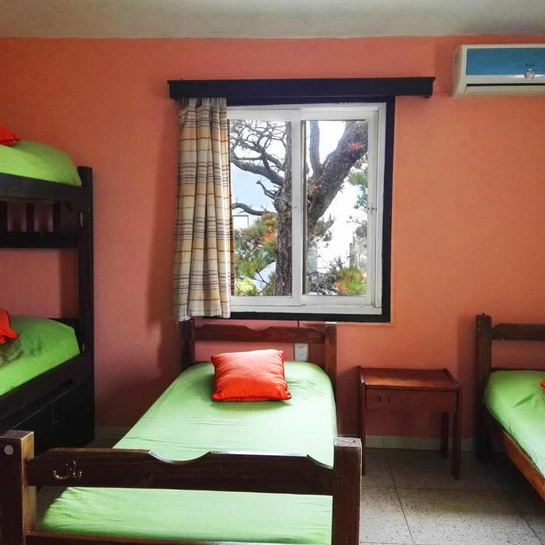 Planet Punta del Este Hostel - Cama Individual en habitación compartida femenina - 2