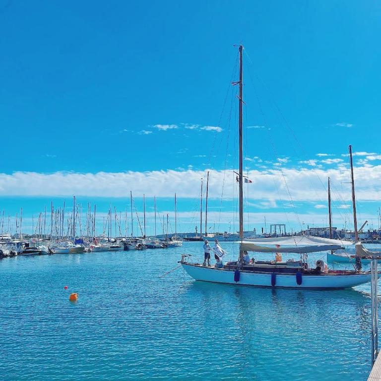 Central Cannes 10 min Palais Sunny Terrace Wi-Fi AC - Appartement 1 Chambre - 28