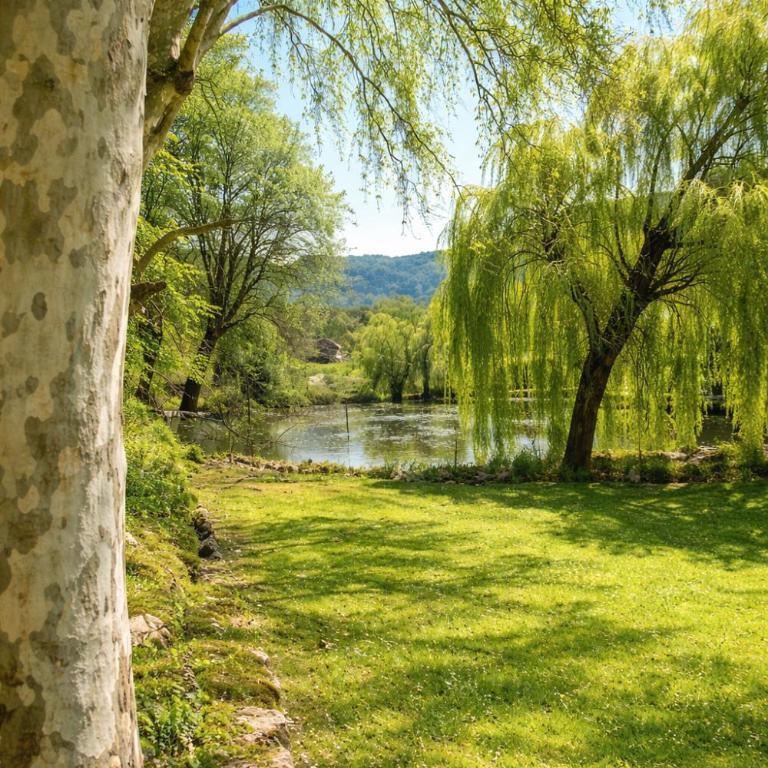 Le Domaine de la Bourne et sa piscine - Villa avec Piscine Privée - 16