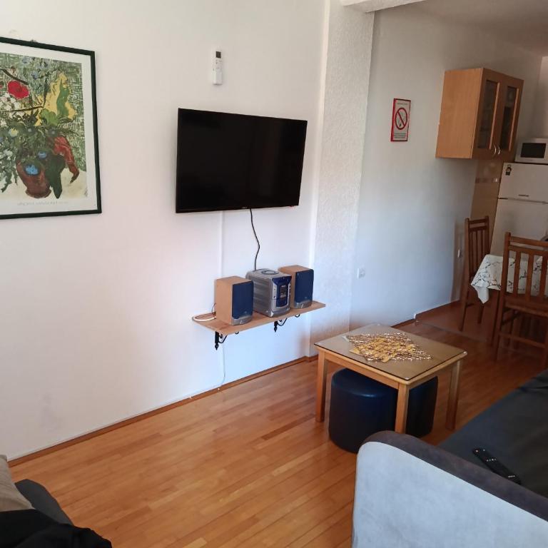 Apartman SAN - Apartman sa 1 Spavaćom Sobom - 3