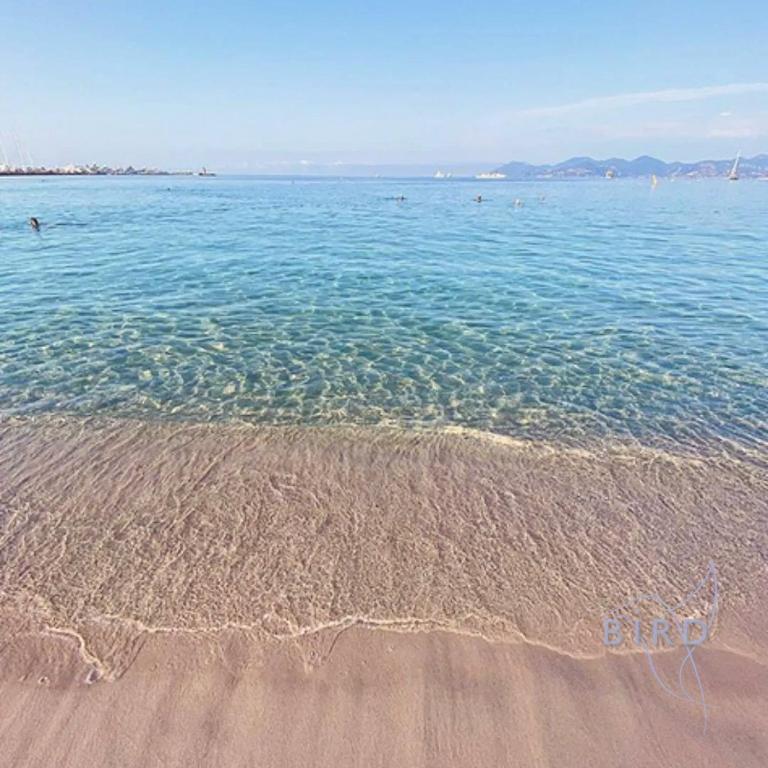 Spacious studio 4 minutes walk from the Beaches - Studio - 24