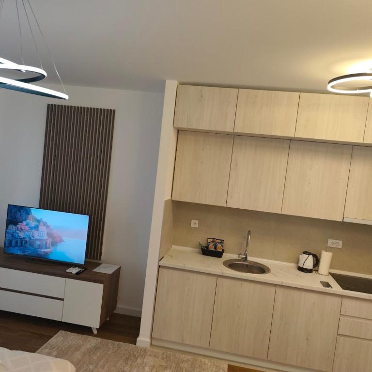 Komitet Planet FREE private garage - Studio with Balcony - 2