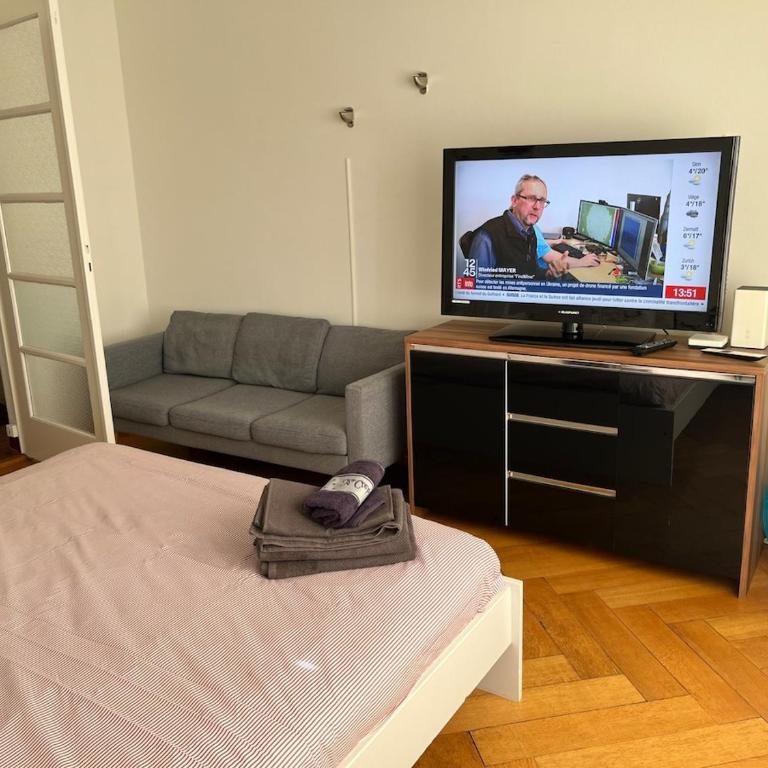 3 rooms Apartment Lausanne - Apartment mit 2 Schlafzimmern - 4