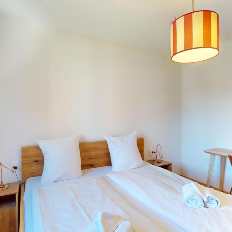 Chesa Chatrigna App 9 - Celerina - Apartment - 12
