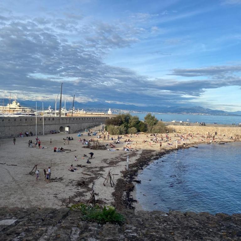 Studio cosy in Antibes Juan-les-Pins residence - Studio avec Balcon - 15