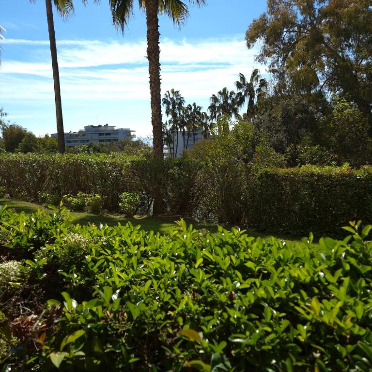 Cozy studio with swimming pool and tennis - Apartamento de 2 dormitorios - 17