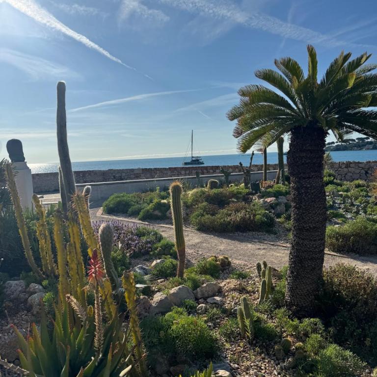 5 SADE - Apartment in Antibes old town - Appartement 1 Chambre - 24