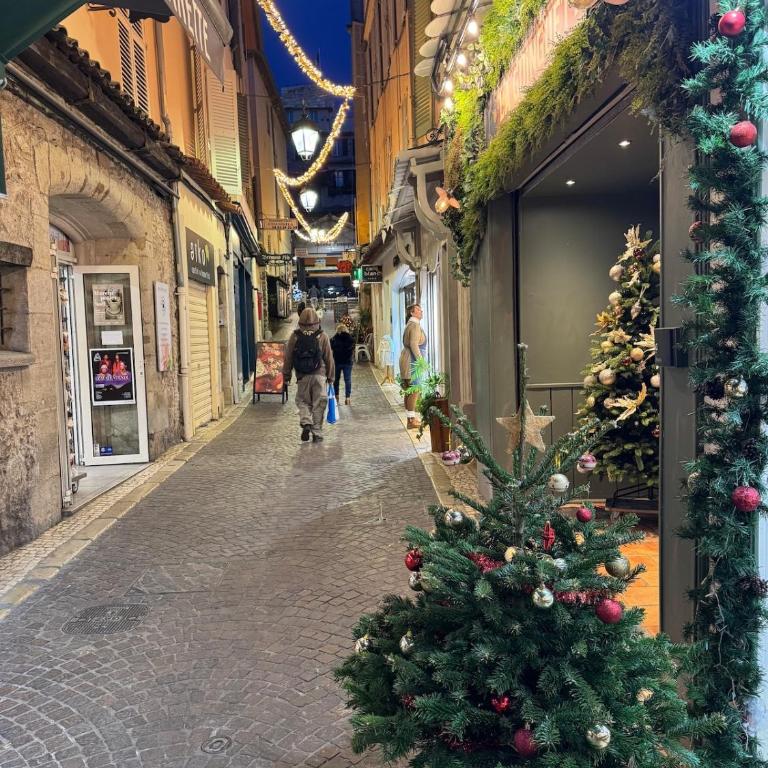 5 SADE - Apartment in Antibes old town - Appartement 1 Chambre - 25