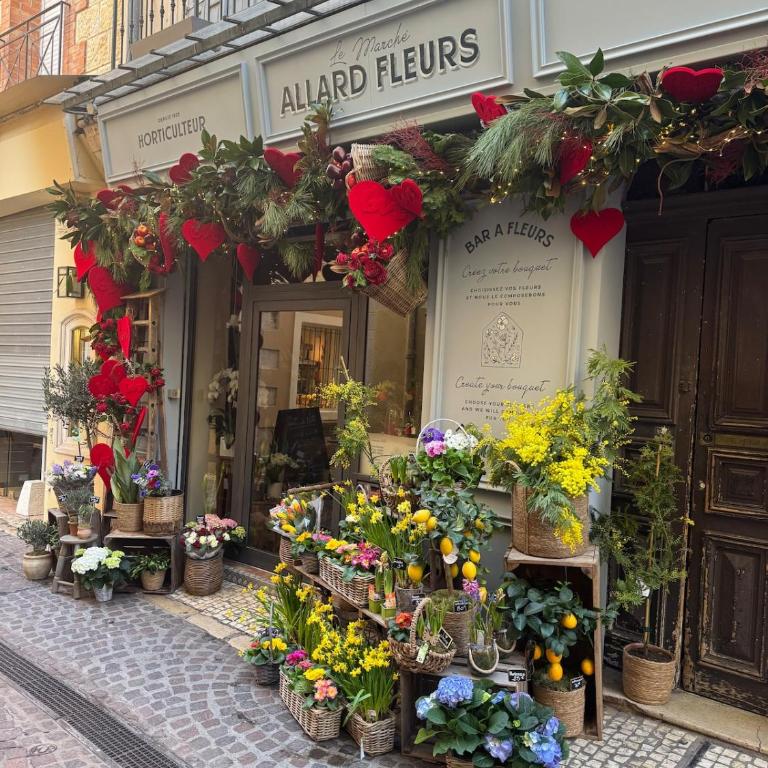 5 SADE - Apartment in Antibes old town - Appartement 1 Chambre - 38