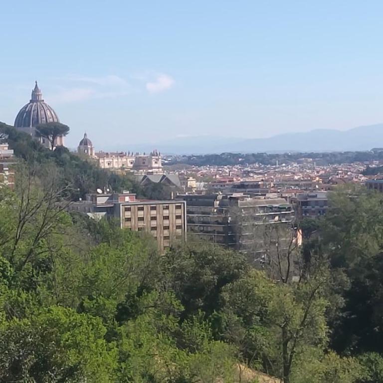 St Peter view - Appartamento con 1 Camera da Letto - 4