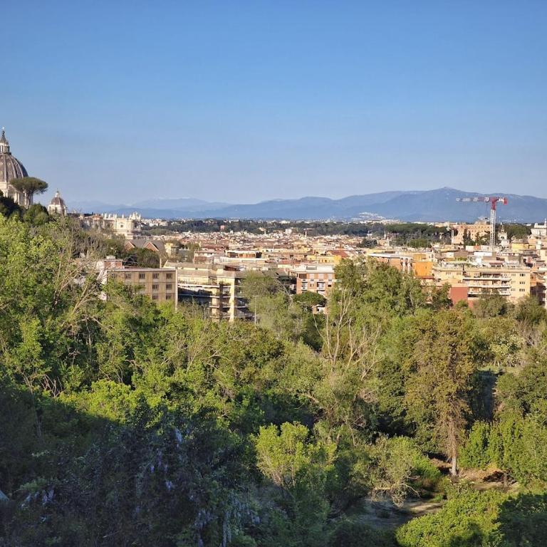St Peter view - Appartamento con 1 Camera da Letto - 8
