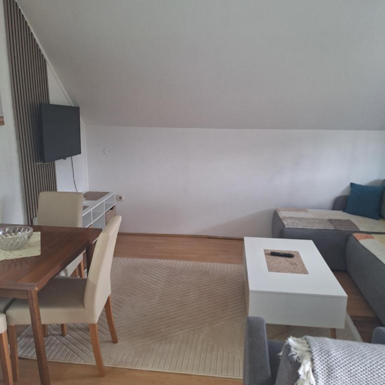 Privatni Smeštaj Tešević - Apartment with Terrace - 7