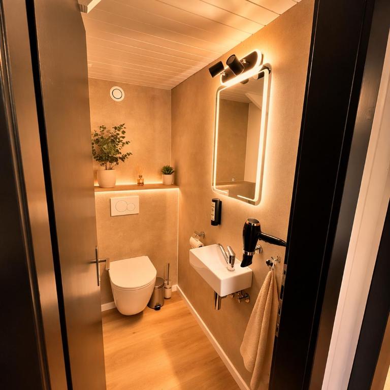 Modern 2BR Loft in Historic Swiss Chalet 200m from Interlaken West - Apartment - 17