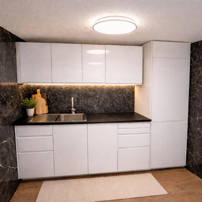 Modern 2BR Loft in Historic Swiss Chalet 200m from Interlaken West - Apartment - 10