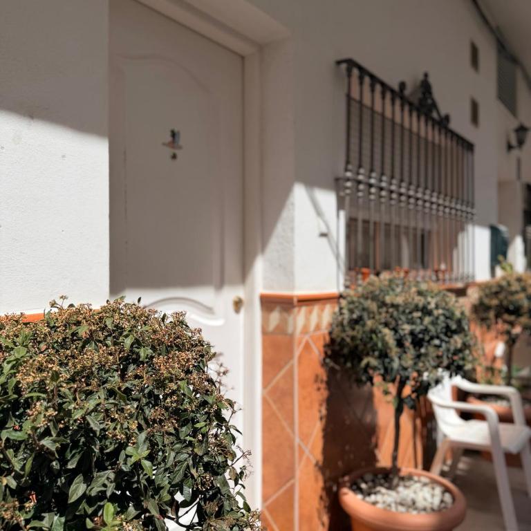 Centre Village Apartment - Apartamento - 16