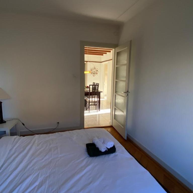 Central 3-Room Apartment with Balcony, Lausanne - Apartment mit 2 Schlafzimmern und Stadtblick - 8