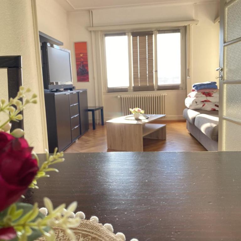 Central 3-Room Apartment with Balcony, Lausanne - Apartment mit 2 Schlafzimmern und Stadtblick - 9