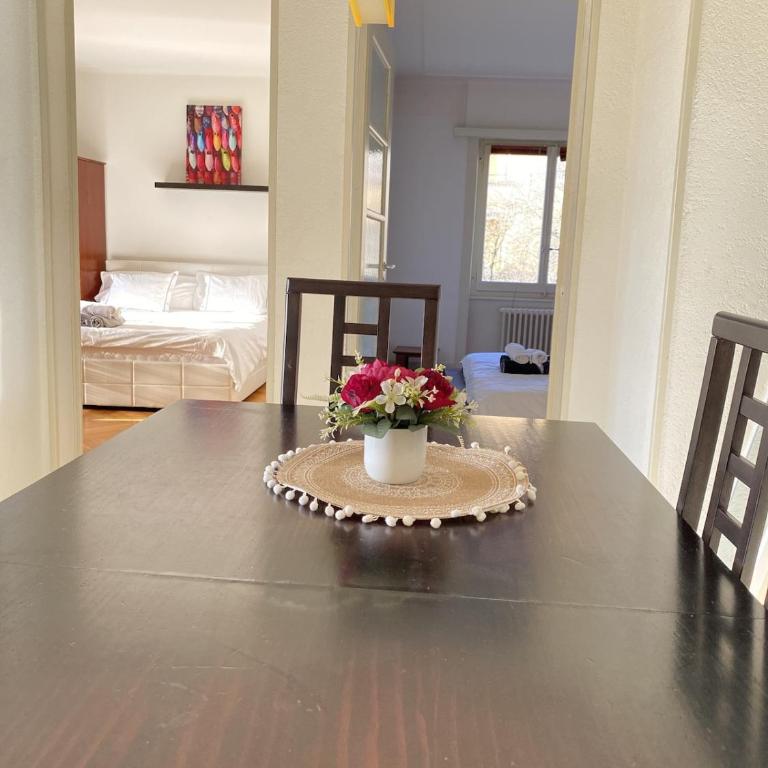 Central 3-Room Apartment with Balcony, Lausanne - Apartment mit 2 Schlafzimmern und Stadtblick - 15