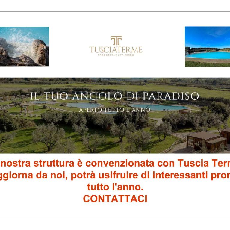 Residenza del Sepale - Appartamento con 1 Camera da Letto - 14