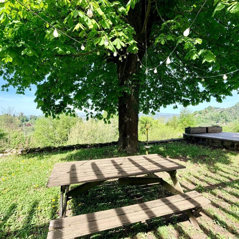 Family villa with swimming pool in Aiguebelette-Le-Lac - Villa - 4