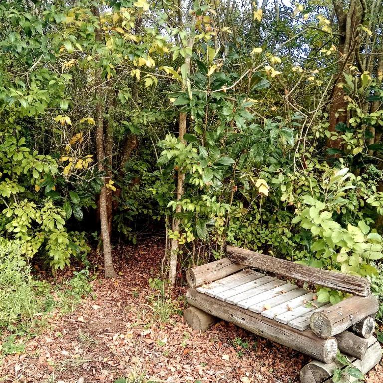 SUITE DEL RÍO Domingos Checkout 17 hs - Casa con 1 dormitorio - 36