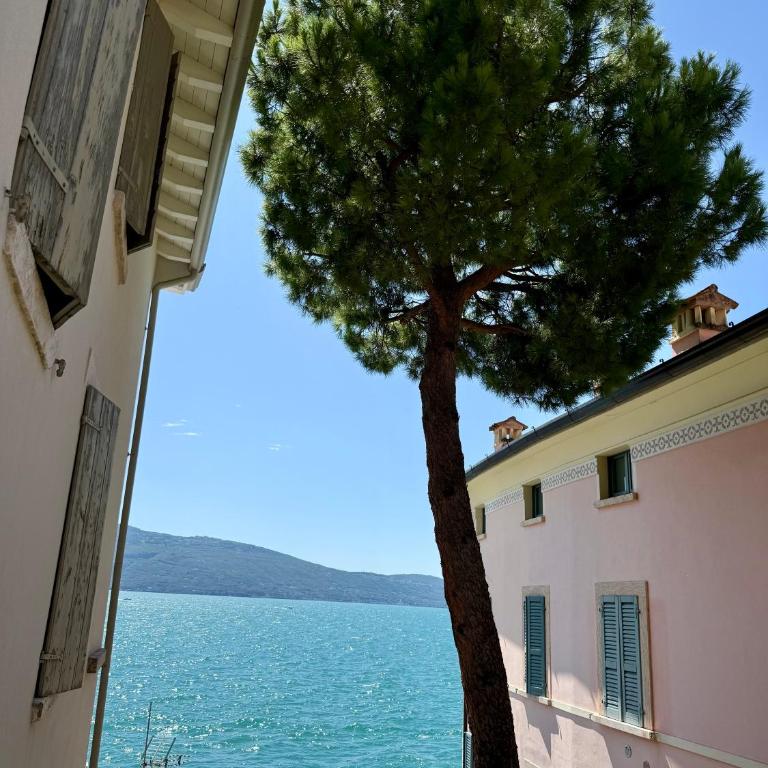 Albergo Gargnano - Camera Singola Standard - 3