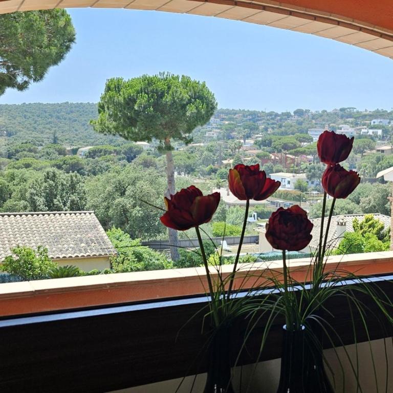 Villa Bienestar with private pool, 4 bedrooms - Villa - 12