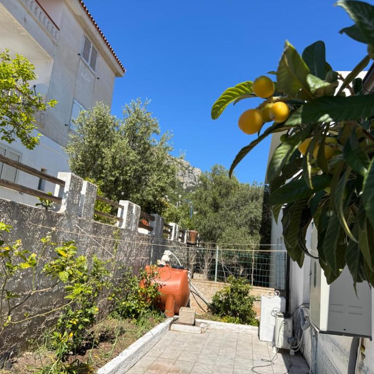 Casa Lido zia Frankie - Casa Vacanze con 3 Camere da Letto - 23