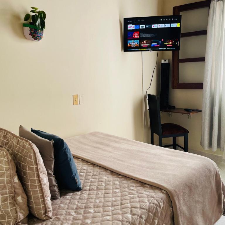 Hotel Plenitud Jardín - Economy Double Room - 5